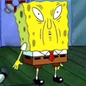 Meet your Posher, Max